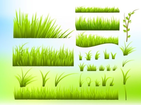 494x368 Grass Free Vector Download