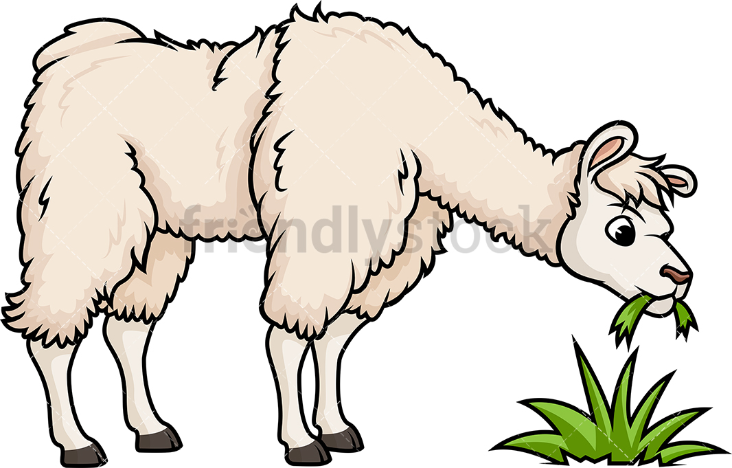1066x681 Llama Eating Grass Cartoon Clipart Vector
