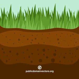 300x300 Free Grass Vector Art