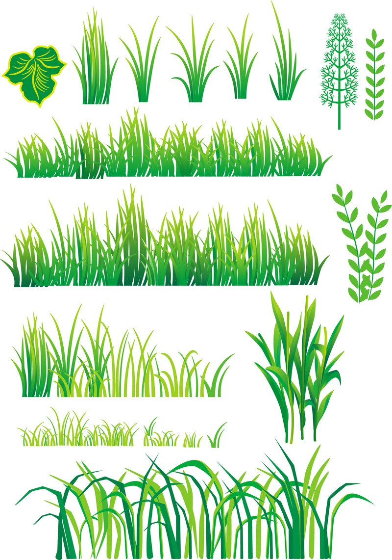 800x1141 Bamboo Grass Plant Vector Cartoon Material