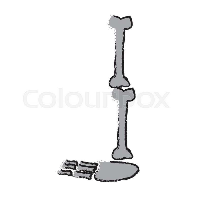 800x800 Cartoon Leg Human Bone Foot Vector Stock Vector Colourbox