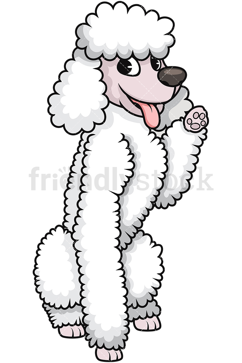 800x1200 Playful White Standard Poodle Cartoon Vector Clipart