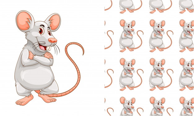 626x375 Mouse Vectors, Photos And Free Download