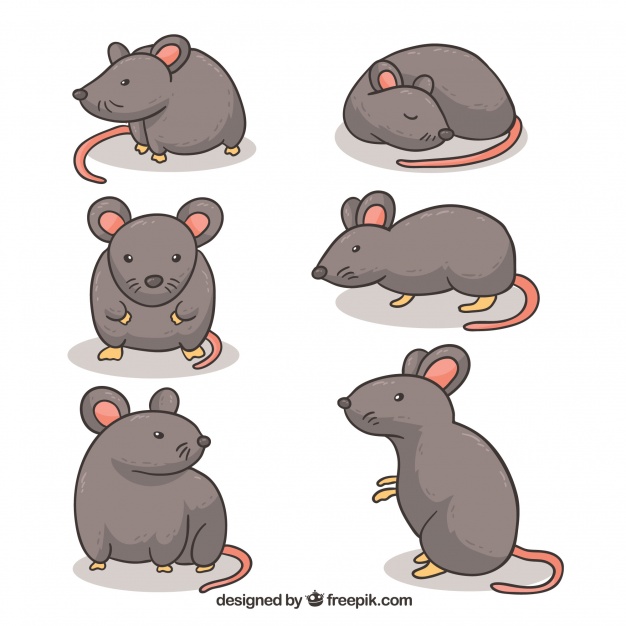 626x626 Cartoon Mice Collection Vector Free Download