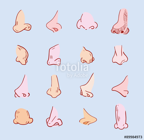 500x489 Cartoon Nose Set, Vector Illustration Stock Image And Royalty