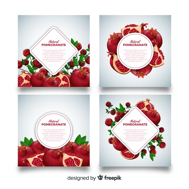 626x626 Pomegranate Vectors, Photos And Free Download