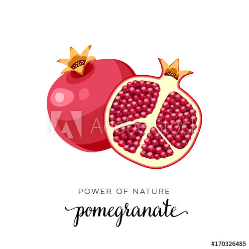 500x500 Superfood Fruit Pomegranate Fruit Vector Illustration Cartoon