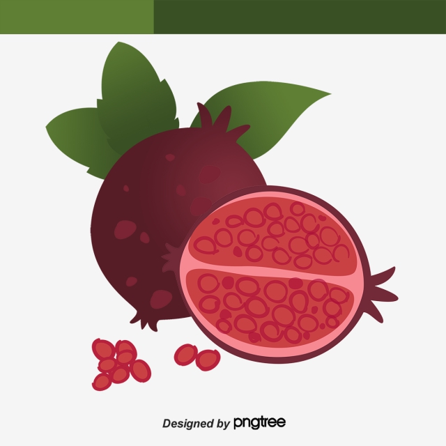 640x640 Vector Pomegrana Vector, Free Download Vector Pomegranate