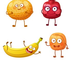 280x235 Pomegranate Vector