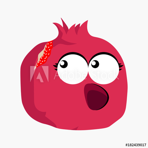 500x500 Vector Cartoon Pomegranate Character