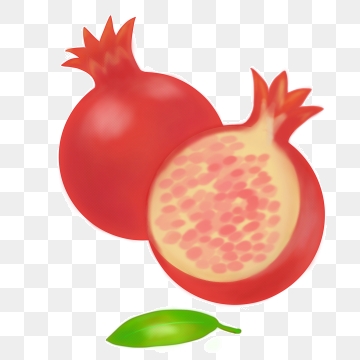 Cartoon Pomegranate Vector at Vectorified.com | Collection of Cartoon