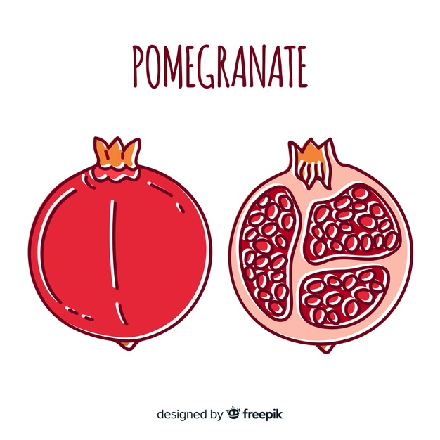 626x626 Cartoon Pomegranate Background Vector Free Download