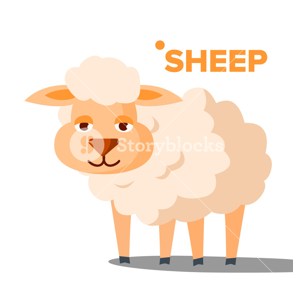 1000x1000 Sheep Vector Funny Animal Isolated Flat Cartoon Illustration