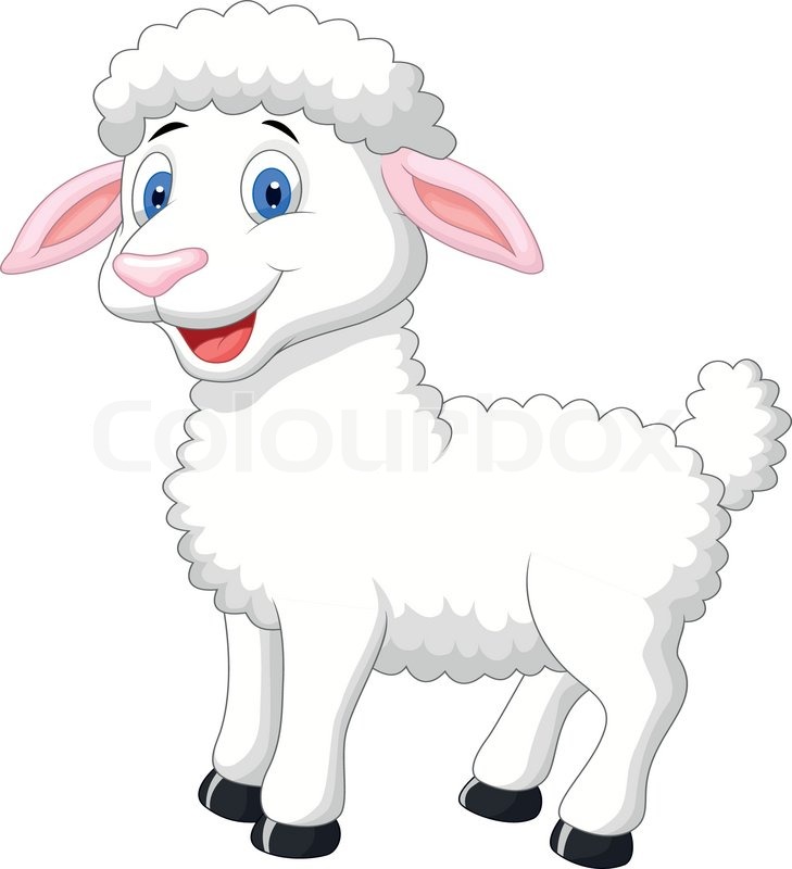 729x800 Vector Illustration Of Cute Sheep Stock Vector Colourbox