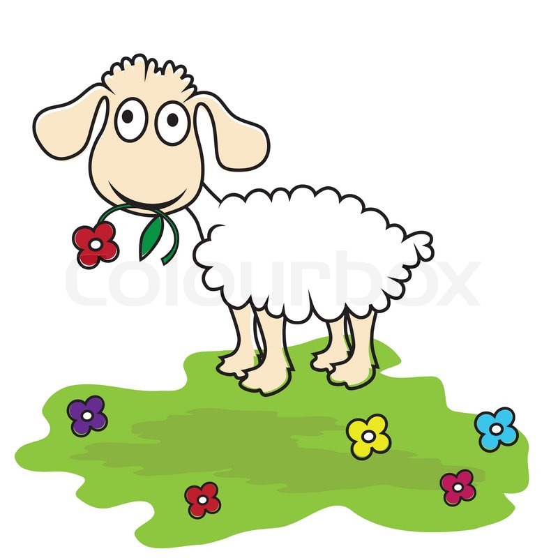 800x800 Cartoon Sheep, Vector Lamb Funny Stock Vector Colourbox