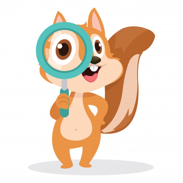 626x626 Squirrel Vectors, Photos And Free Download