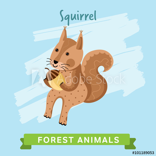 500x500 Squirrel Vector Wild And Forest Animals Cartoon Characters