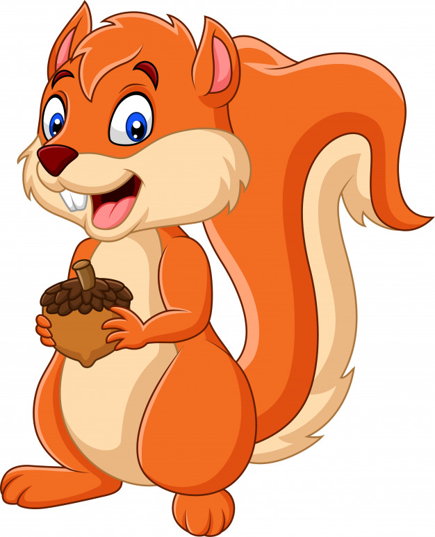 626x773 Cartoon Squirrel Holding Nut Vector Premium Download