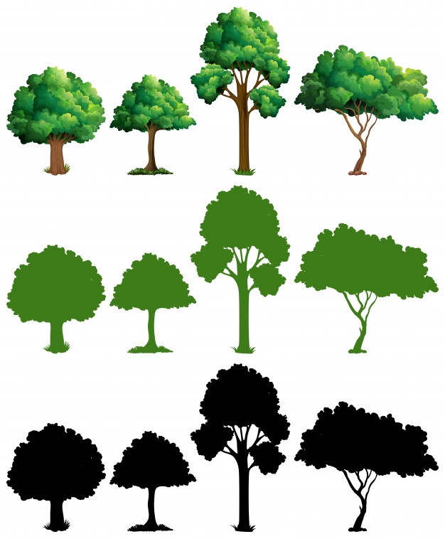 Tree Vectors, Photos And Free Download 626x758 Tree Vectors, Photos And Free Download