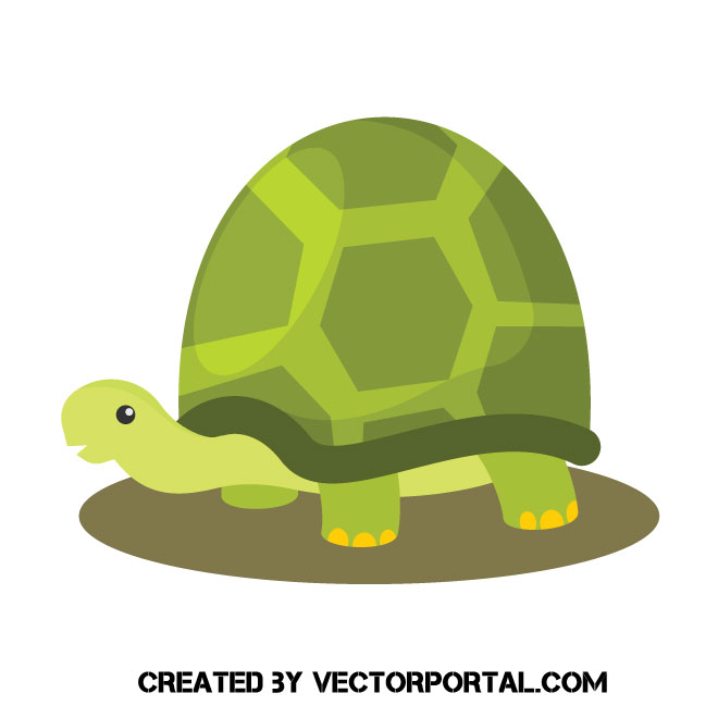 Cute Cartoon Turtle 660x660 Cute Cartoon Turtle