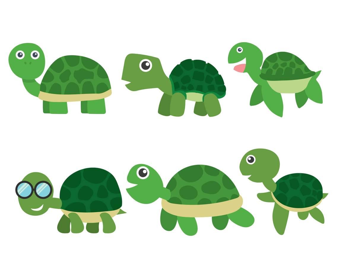 Best Cartoon Turtle Vector Images Free Vector Art, Images 1136x936 Best Cartoon Turtle Vector Images Free Vector Art, Images