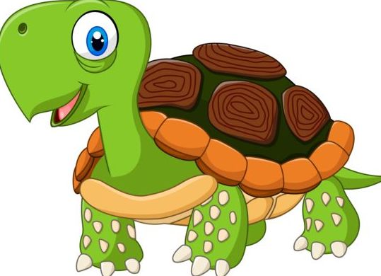 Funny Cartoon Turtles Vectors Free Download 539x390 Funny Cartoon Turtles Vectors Free Download