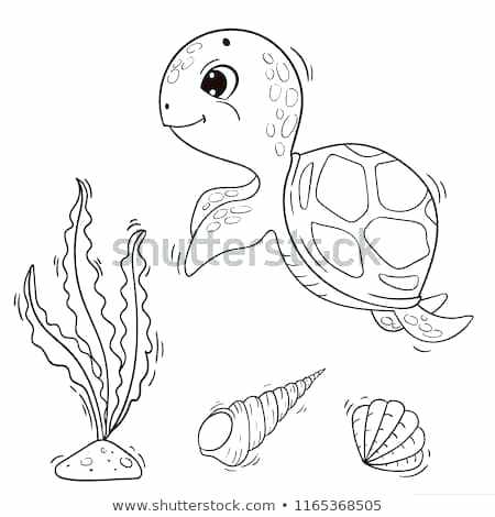Sea Turtle Outline Cute Cartoon Sea Turtle Vector Black And White 450x470 Sea Turtle Outline Cute Cartoon Sea Turtle Vector Black And White