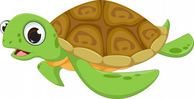 Turtle Vectors, Photos And Free Download 626x321 Turtle Vectors, Photos And Free Download