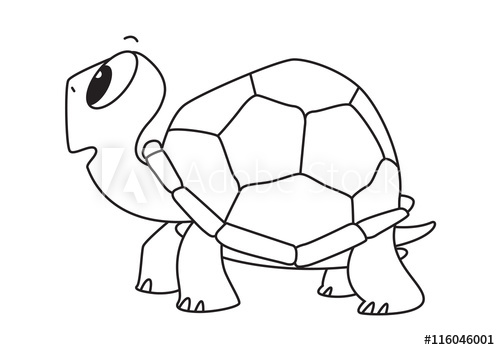 Cartoon Turtle, Vector 500x350 Cartoon Turtle, Vector