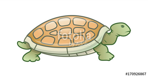 Cartoon Turtle 500x262 Cartoon Turtle