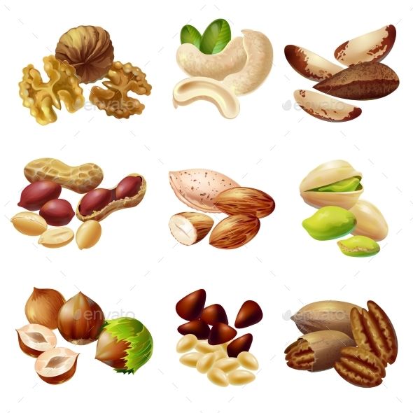 Cartoon Healthy Nuts Set With Walnut Cashew Almond Hazelnut Pecan 590x590 Cartoon Healthy Nuts Set With Walnut Cashew Almond Hazelnut Pecan