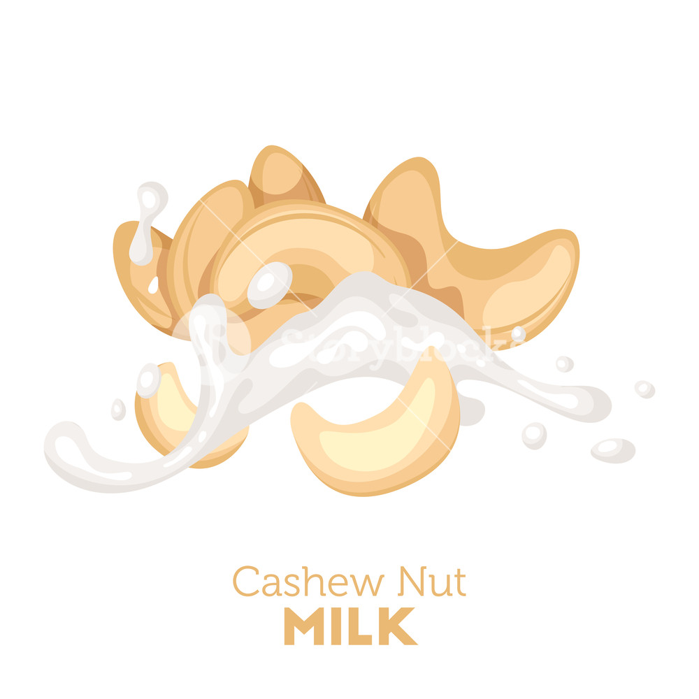 1000x1000 Cashew Nut Milk Concept Splash Of Beverage With Kernels Vector