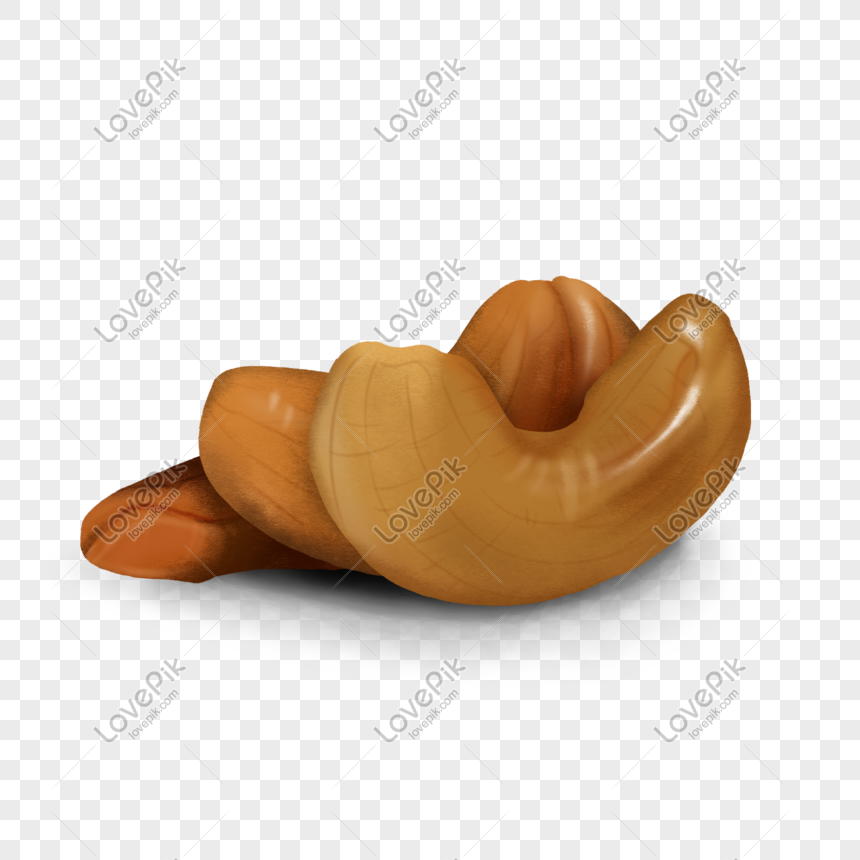 860x860 Cashew Nut Vector Material Png Image Picture Free Download