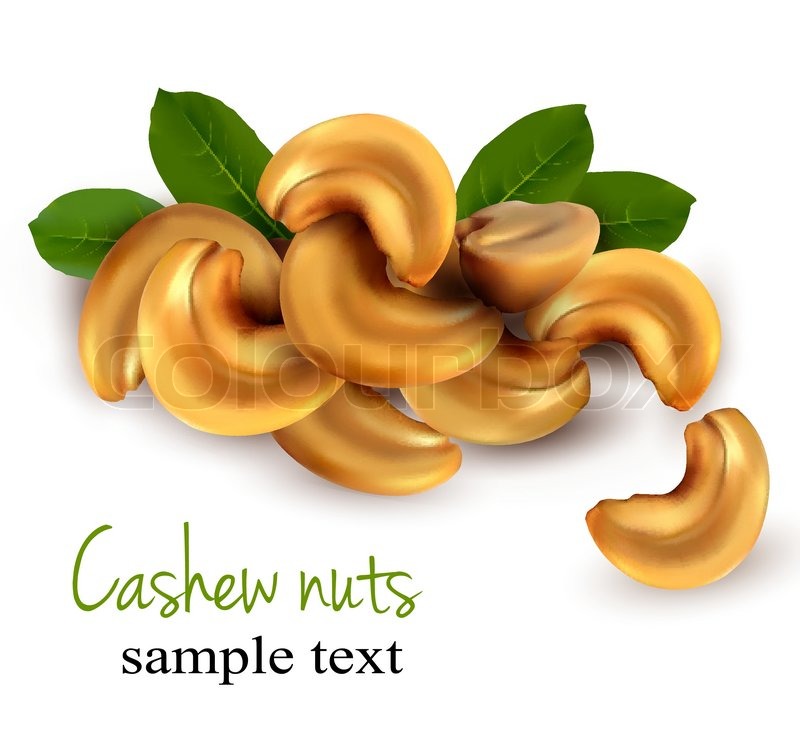 800x740 Cashew Nuts Vector Illustration Stock Vector Colourbox