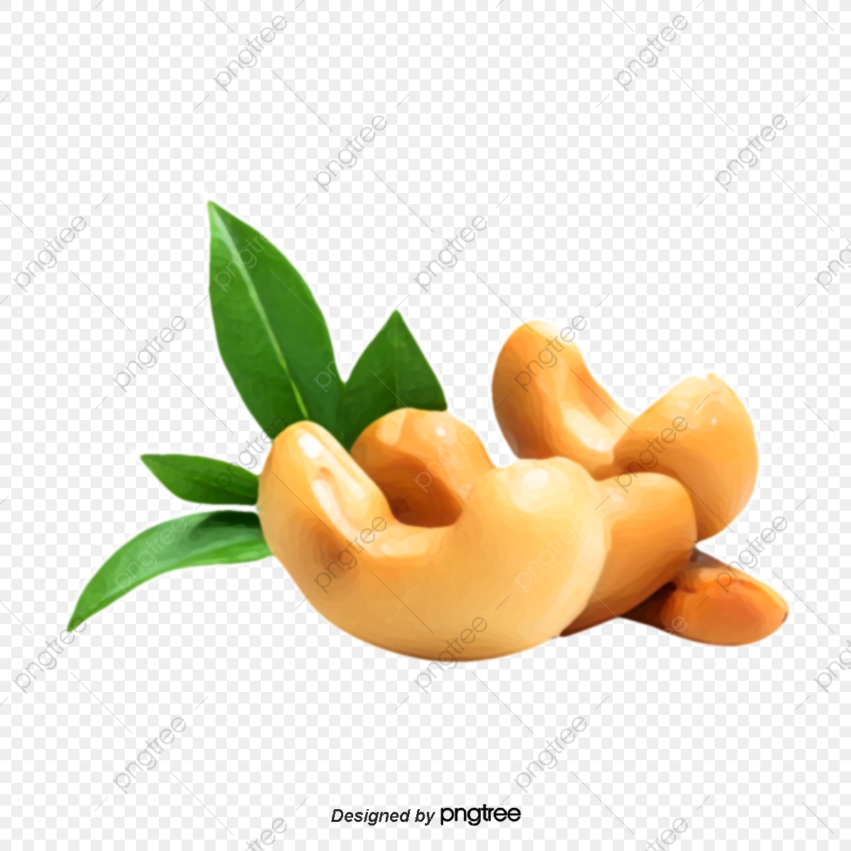 1200x1200 Cashew, Fruit, Nut, Leaf Png And Vector With Transparent