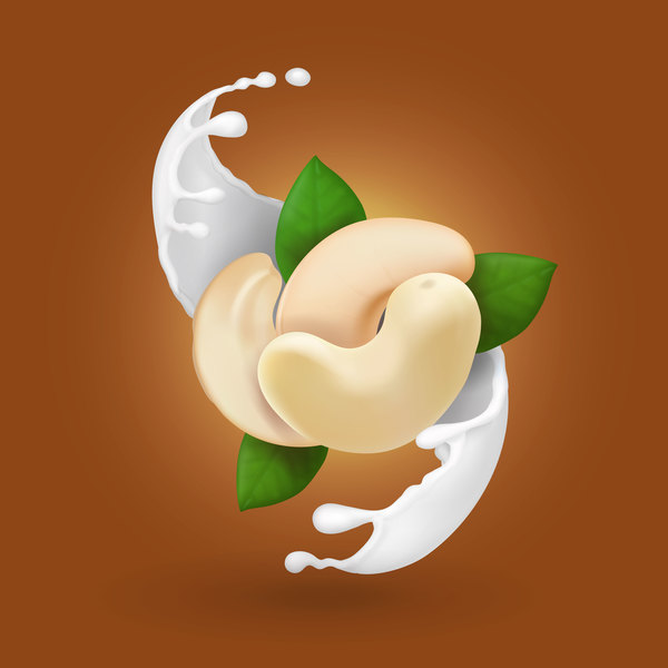 600x600 Cashew Nuts And Green Leaves Vector Free Download