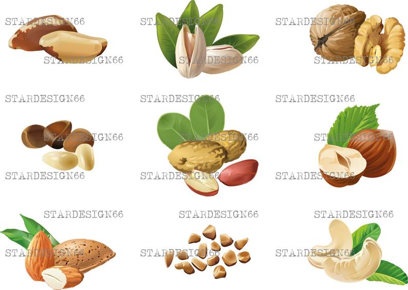 794x565 Digital Png Nuts Almond Walnut Brazil Nut Peanut Etsy
