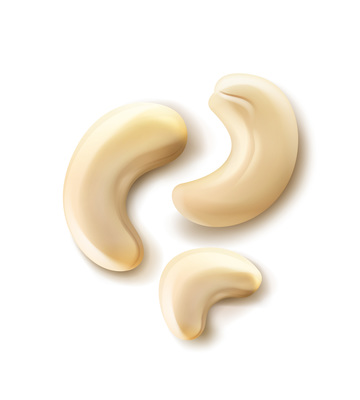 360x400 Realistic Handful Cashew Nuts Close Up Vector Illustration