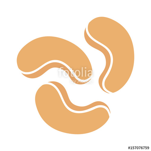 500x500 Roasted Cashew Nuts Flat Vector Color Icon For Food Apps