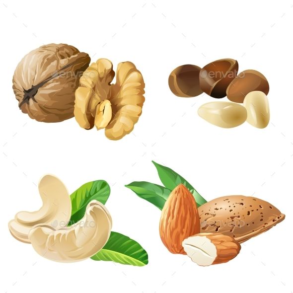 590x590 Set Of Vector Icons Of Nuts Cashews, Walnuts, Almonds, Pine