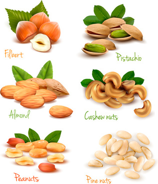 317x368 Vector Cashew Nut Free Vector Download