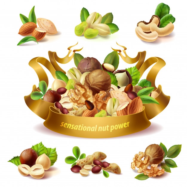 626x626 Cashew Vectors, Photos And Free Download