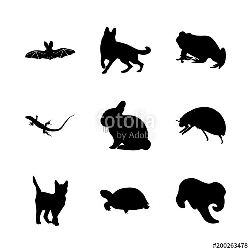 500x500 Icon Animal With Dracula, Casper, Pose, Bug And Ocean Stock Image