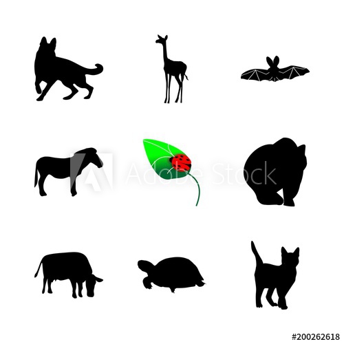 Icon Animal With Start, Casper, Sea Turtle, Milk And Turtle 500x500 Icon Animal With Start, Casper, Sea Turtle, Milk And Turtle