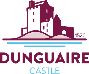 300x250 Dunguaire Castle Logo Vector