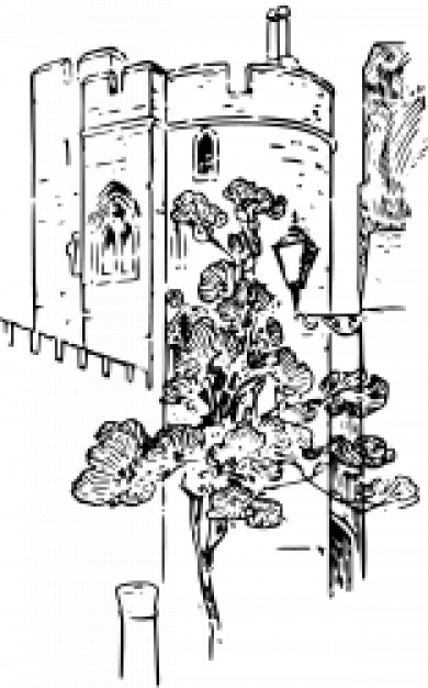 Castle Tower Vector Free Download 390x626 Castle Tower Vector Free Download