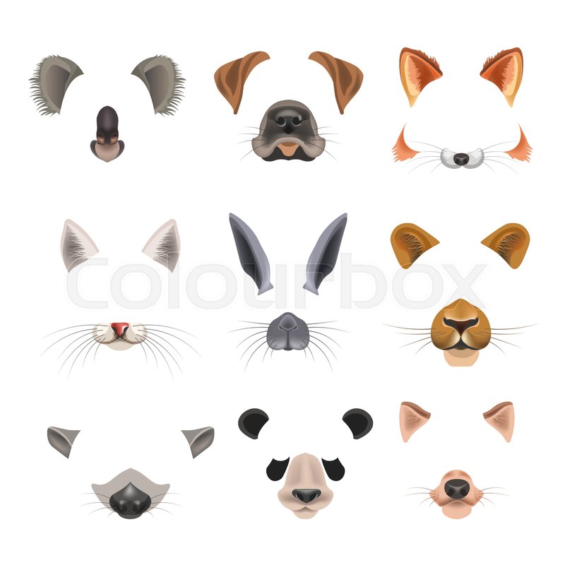 800x800 Animal Faces Templates For Video Chat Stock Vector Colourbox