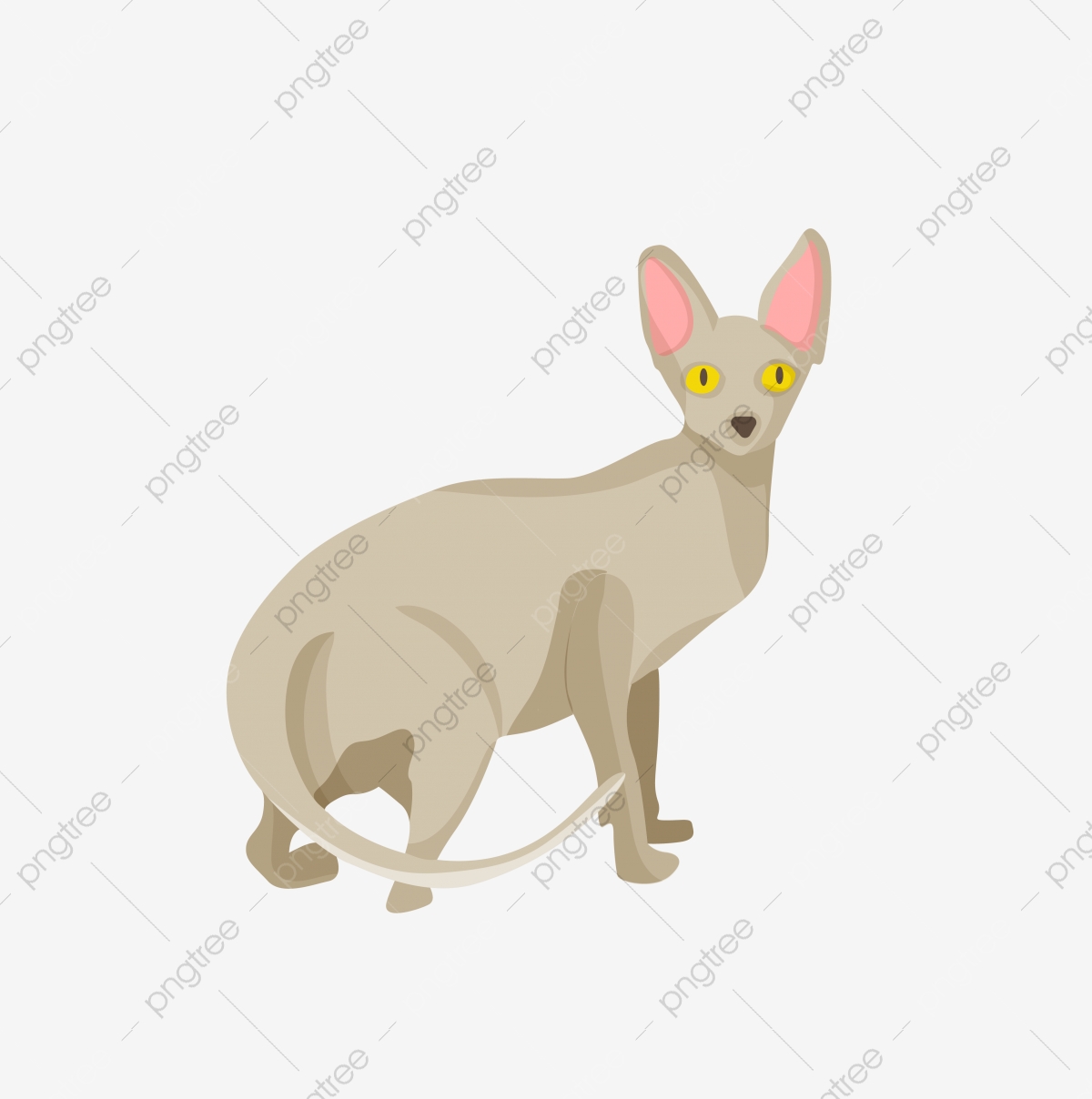1200x1208 Cat Cat Lovely Folding Ear, Animal, Family Pet, Pet Png And Vector