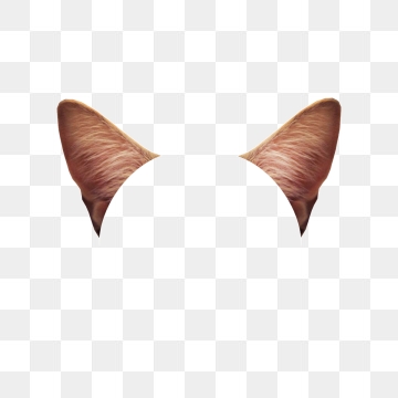 360x360 Cat Ear Png Images Vector And Free Download