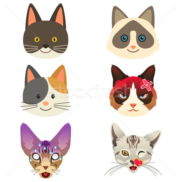 600x600 Different Cat Emoji Expression Illustration Vector Illustration